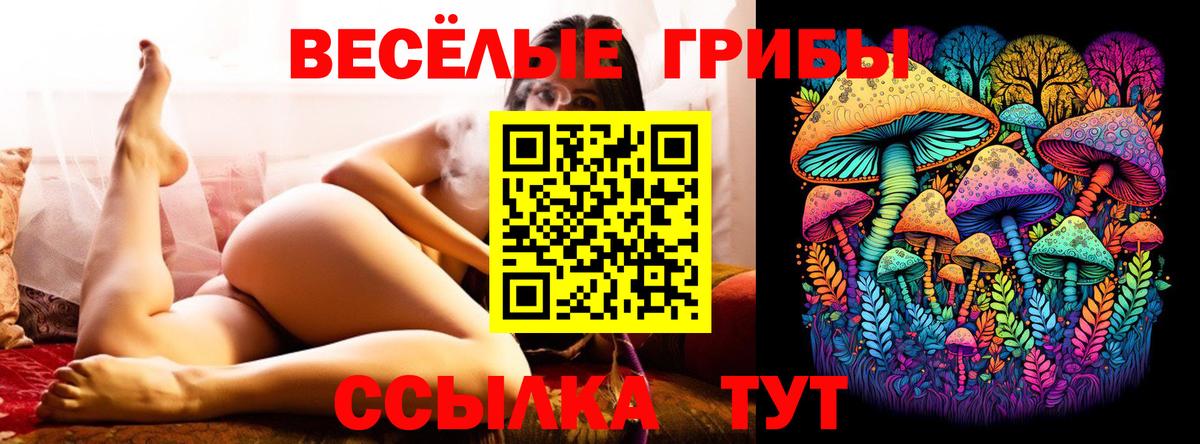 Галлюциногенные грибы прущие грибы Златоуст