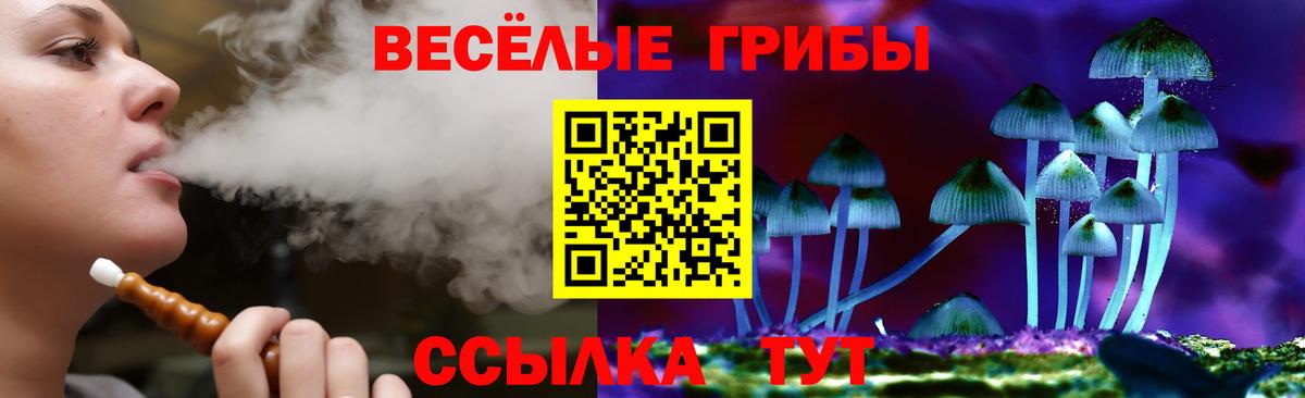 Златоуст  Галлюциногенные грибы MAGIC MUSHROOMS  Псилоцибиновые грибы ЛСД  где можно купить   Вход с VPN 